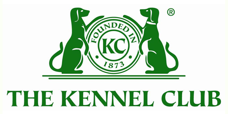 Kennel club hot sale puppy training